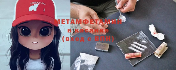 шишки Сатка