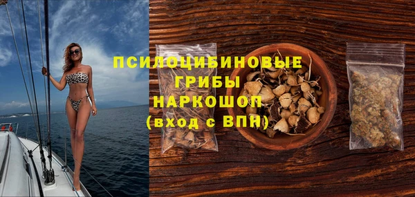 шишки Сатка