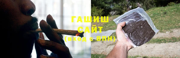 шишки Сатка
