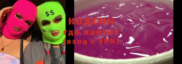 шишки Сатка