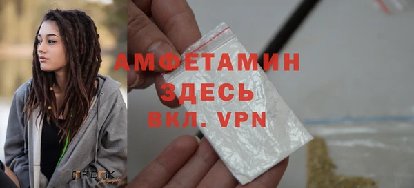 шишки Сатка