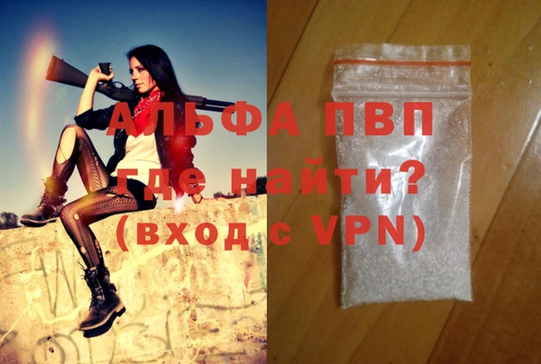 шишки Сатка