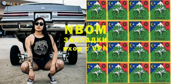 шишки Сатка