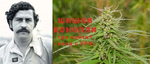 шишки Сатка
