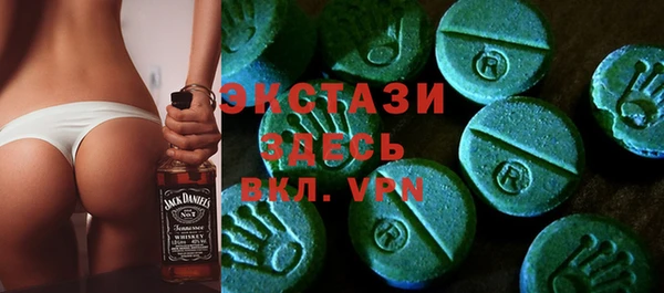 шишки Сатка