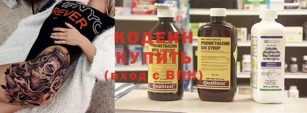 шишки Сатка