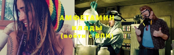 шишки Сатка